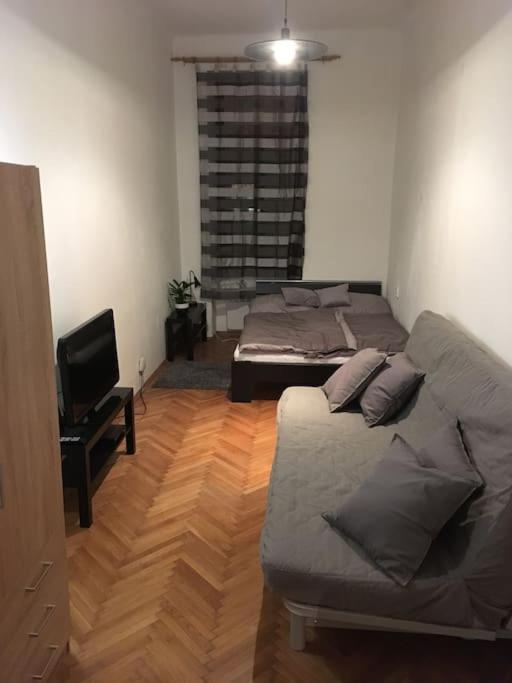 Utulne Ubytovani U Centra V Blizkosti Vystaviste Бърно Екстериор снимка